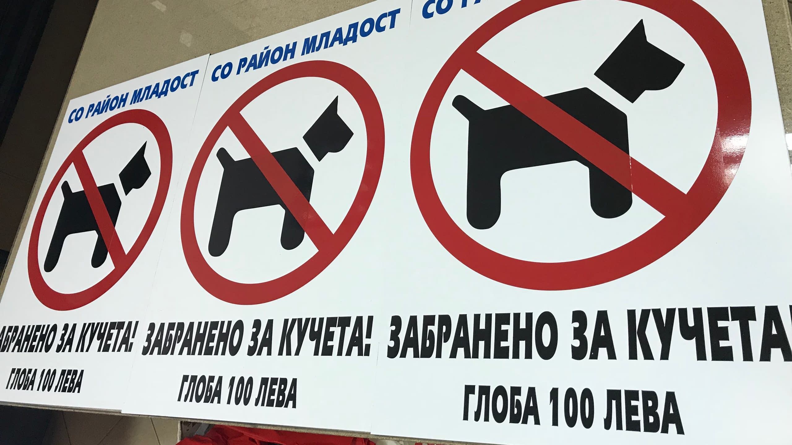 Изработка на информационна табела със знаци "Забранено за кучета" по поръчка на общински район. Печат на PVC табели.